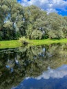 very beautiful bank of the Berezina river in summer