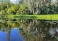 very beautiful bank of the Berezina river in summer