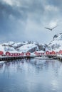 Very beautiful bay in the sea with small red houses on the coast, winter time Royalty Free Stock Photo