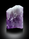 Very beautiful Bi Color kunzite var spodumene crystal  specimen from afghanistan Royalty Free Stock Photo