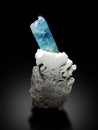 Very beautiful blue Aquamarine var Beryl crystal on miceocline matrix specimen from skardu Pakistan Royalty Free Stock Photo