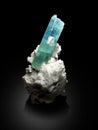 Very beautiful blue Aquamarine var Beryl crystal on miceocline matrix specimen from skardu Pakistan Royalty Free Stock Photo