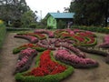 Very beautiful botanical garden with flowering plant