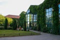 A very beautiful and fabulously completely ivy-covered house and yard. Cozy green courtyard Royalty Free Stock Photo