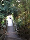 The very beautiful, famous and relaxing Filbert Steps, 15.