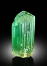 very beautiful Green Tourmaline crystal Mineral specimen from Afghanistan Royalty Free Stock Photo