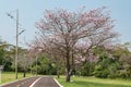 Very beautiful hiking and cycling trail on a park with great views