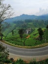 Very beautiful landscape scene at nywara eliya , sri lanka Royalty Free Stock Photo