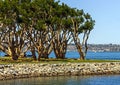 A very beautiful landscape in San Diego