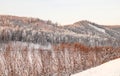 Very beautiful snow-covered forest at sunset. Frosty winter day. Royalty Free Stock Photo