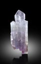 very beautiful Lilac Purple pink Kunzite var spodumene crystal mineral specimen from Afghanistan Royalty Free Stock Photo