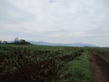 Very beautiful mountain view from a distance of 3 hours drive Royalty Free Stock Photo