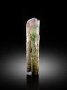 very beautiful Multicolor tourmaline elbait crystal mineral specimen from Afghanistan Royalty Free Stock Photo