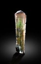 very beautiful Multicolor tourmaline elbait crystal mineral specimen from Afghanistan Royalty Free Stock Photo
