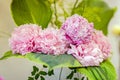 Very beautiful pink peonies made in a bouquet Royalty Free Stock Photo