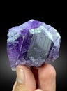 very beautiful purple scapolite crystal mineral specimen from Badakhshan afghanistan Royalty Free Stock Photo