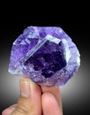 very beautiful purple scapolite crystal mineral specimen from Badakhshan afghanistan Royalty Free Stock Photo