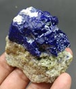 Rare Blue Etched  Lazurite Mineral Specimen from badakhshan AFghanistan Royalty Free Stock Photo