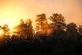 Very beautiful sunrise in summer over a foggy lake. Early morning in summer in nature. Defocused Royalty Free Stock Photo