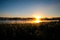 Very beautiful sunrise in summer over a foggy lake. Early morning in summer in nature. Defocused Royalty Free Stock Photo