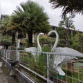 very beautiful swan statue, like a picture of a heart