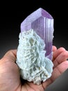 very beautiful terminated Lilac color Kunzite var spodumene with albite crystal mineral specimen from Afghanistan Royalty Free Stock Photo