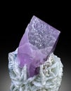 very beautiful terminated Lilac color Kunzite var spodumene with albite crystal mineral specimen from Afghanistan Royalty Free Stock Photo