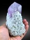 very beautiful terminated Lilac color Kunzite var spodumene with albite crystal mineral specimen from Afghanistan Royalty Free Stock Photo