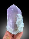 very beautiful terminated Lilac color Kunzite var spodumene with albite crystal mineral specimen from Afghanistan Royalty Free Stock Photo