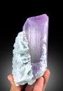 very beautiful terminated Lilac color Kunzite var spodumene with albite crystal mineral specimen from Afghanistan Royalty Free Stock Photo