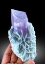 very beautiful terminated Lilac color Kunzite var spodumene with albite crystal mineral specimen from Afghanistan Royalty Free Stock Photo