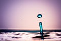 Very beautiful water drops. It feels calm and cool. Royalty Free Stock Photo