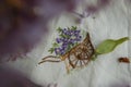 A very beautiful white handkerchief with embroidery a cart with flowers