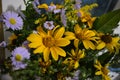 Flower bouquet of beautiful wild Ukrainian wildflowers made with a soul from the steppe part of Ukraine Royalty Free Stock Photo