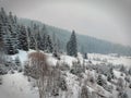Very beautiful winter landscape. Mountain hills with green fir trees covered with soft white snow. The Carpathian Mountains of Royalty Free Stock Photo