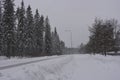 Very beautiful winter landscape, real big pine trees, fir trees, spruces in white snow growing in the city of Varkaus, Finland. Royalty Free Stock Photo