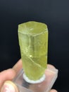 very beautiful Yellow heliodor var beryl crystal mineral specimen from Skardu Pakistan Royalty Free Stock Photo