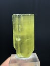 very beautiful Yellow heliodor var beryl crystal mineral specimen from Skardu Pakistan Royalty Free Stock Photo