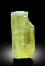 very beautiful yellow heliodor var beryl crystal from Skardu pAKISTAN Royalty Free Stock Photo