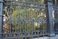 Iron garden fence . Saints Petersburg .Russia