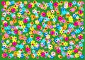 very bright and joyful background of colorful flowers