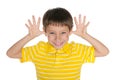 Very cheerful boy Royalty Free Stock Photo