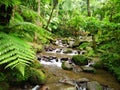 a very clear river between the rocks and the shade of Indonesian tropical plants Royalty Free Stock Photo