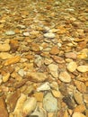 Very clear river water, limestone river cool Royalty Free Stock Photo