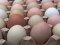 Very close-up photography of some assorted color free-range eggs 3 Royalty Free Stock Photo