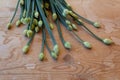 Very close view of budded tips of chives on an old wood table Royalty Free Stock Photo