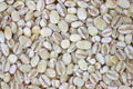 Very close view of pearled barley Royalty Free Stock Photo