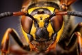 Very close wasp macro shot. Generative AI