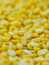 Very closeup of split yellow mung beans Royalty Free Stock Photo