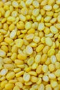 Very closeup of split yellow mung beans Royalty Free Stock Photo